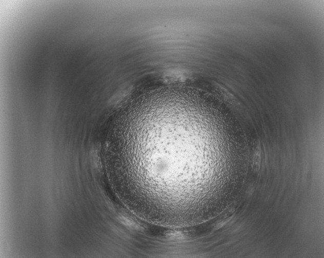 X0000062140616200512121243