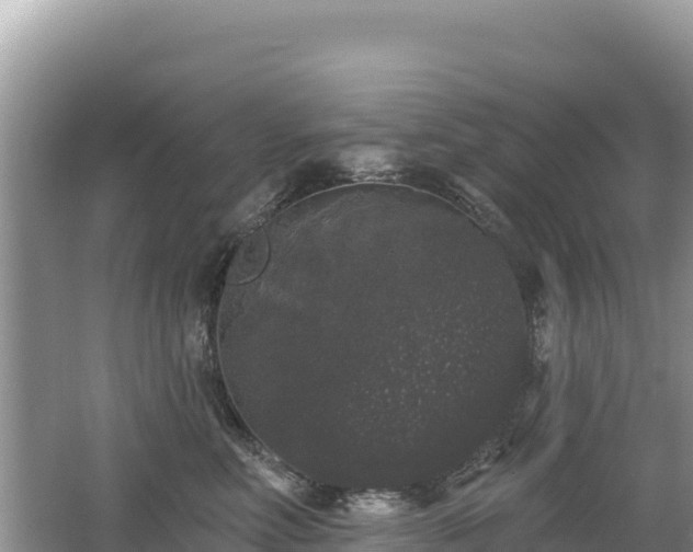 X0000062140618200512121243