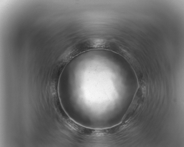 X0000062140620200512121243