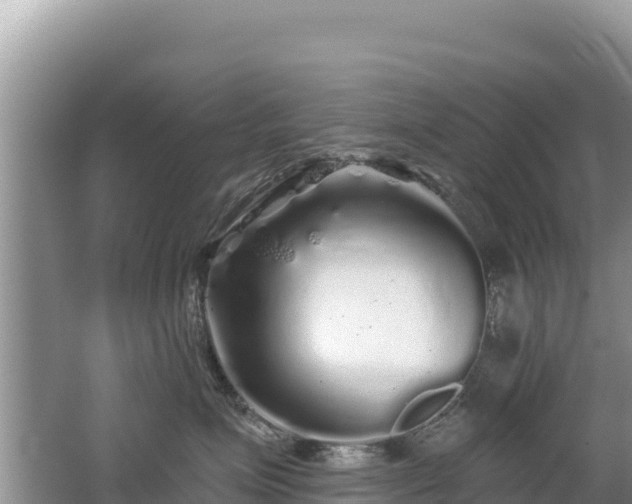 X0000062140623200512121243