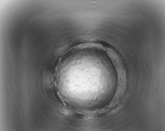 X0000062140624200512121243