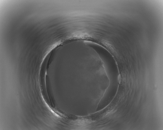 X0000062140630200512121242