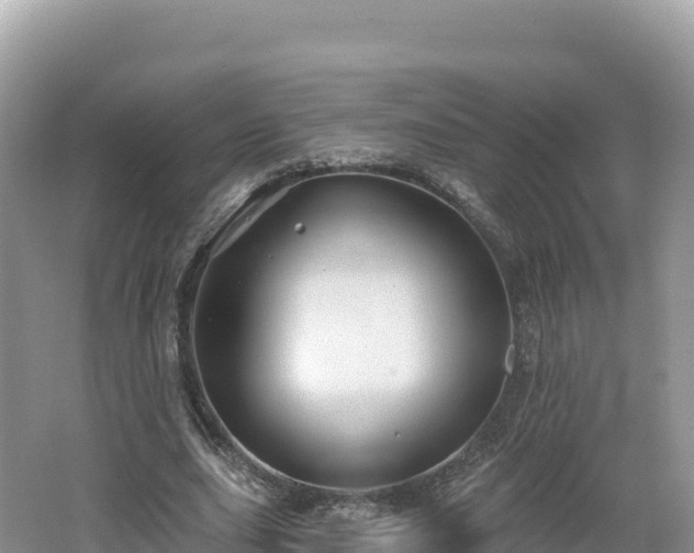 X0000062140631200512121242