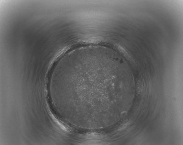 X0000062140634200512121242