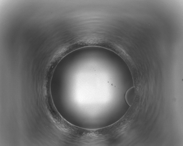 X0000062140635200512121242