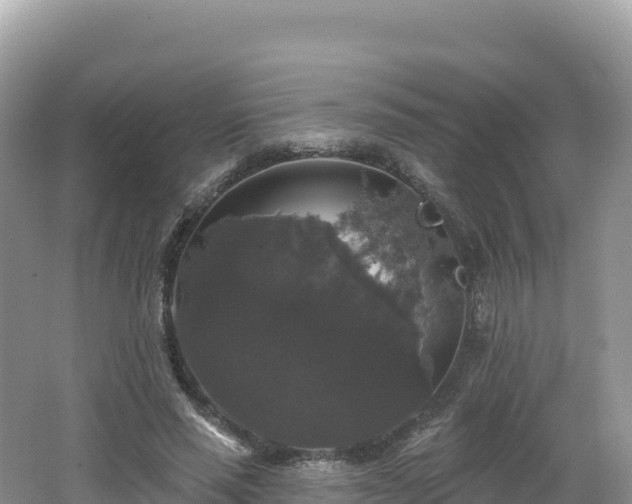 X0000062140637200512121242