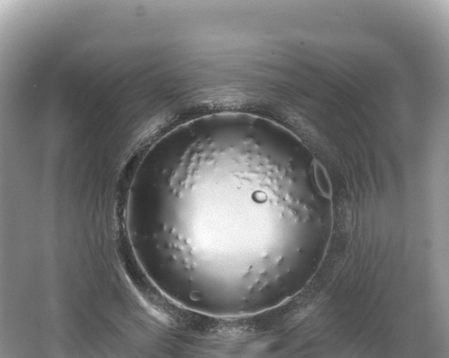 X0000062140638200512121242