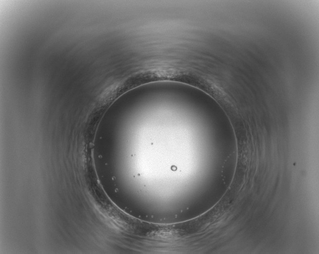 X0000062140639200512121242