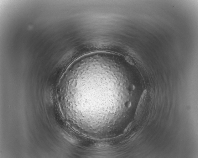 X0000062140644200512121242