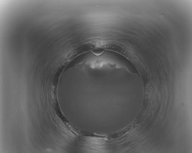 X0000062140650200512121243