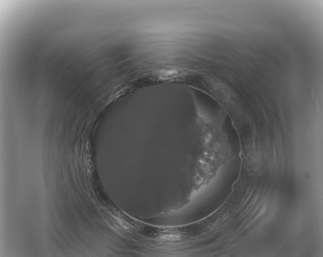 X0000062140653200512121243