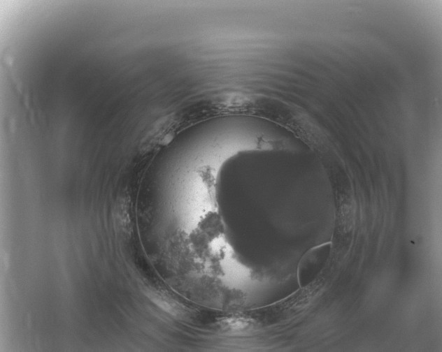 X0000062140654200512121243