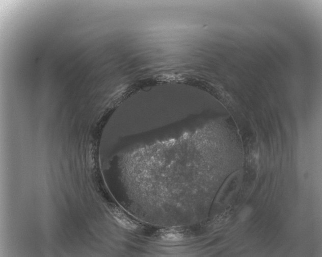 X0000062140658200512121243