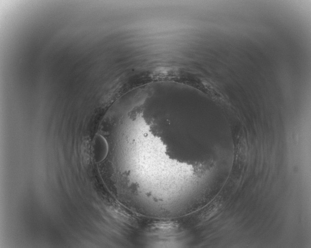 X0000062140659200512121243