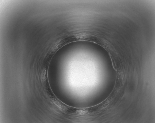 X0000062140660200512121243