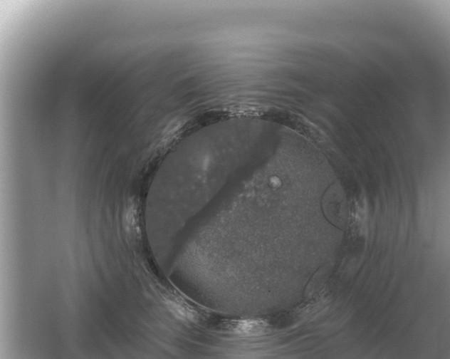 X0000062140663200512121243