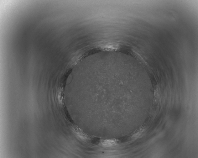 X0000062140671200512121243