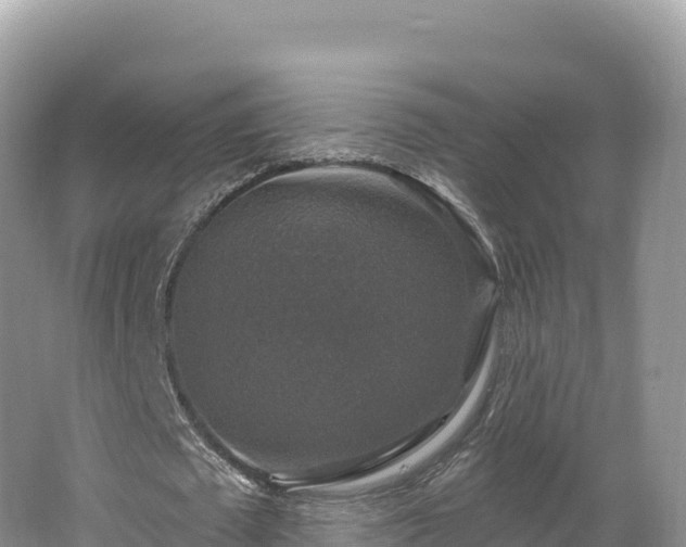 X0000062140673200512121242