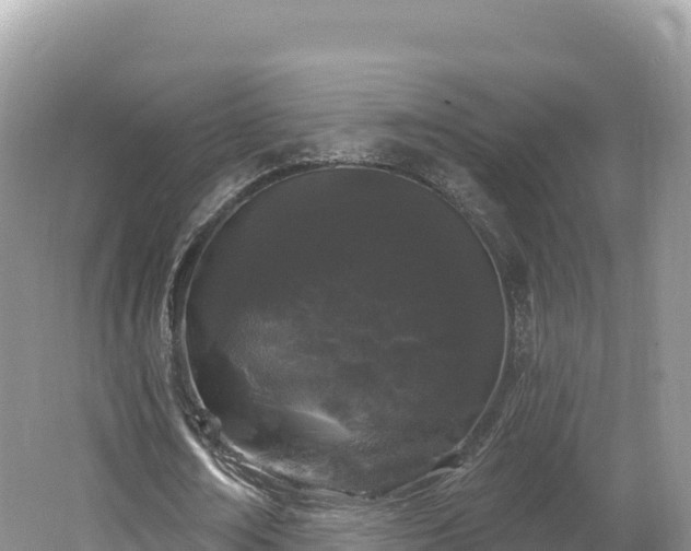 X0000062140674200512121242