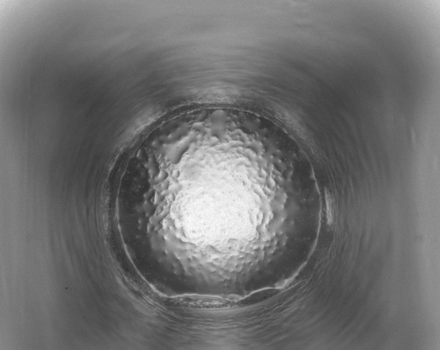 X0000062140675200512121242