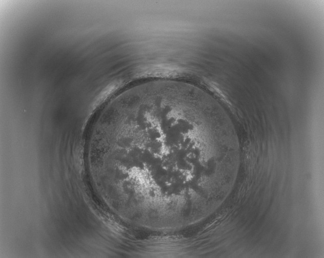 X0000062140679200512121242