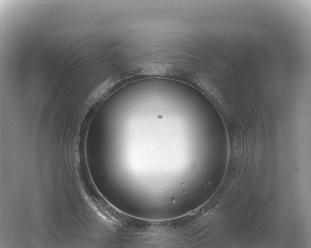 X0000062140682200512121242