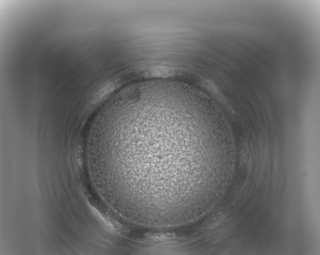 X0000062140683200512121242