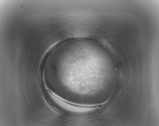 X0000062140684200512121242