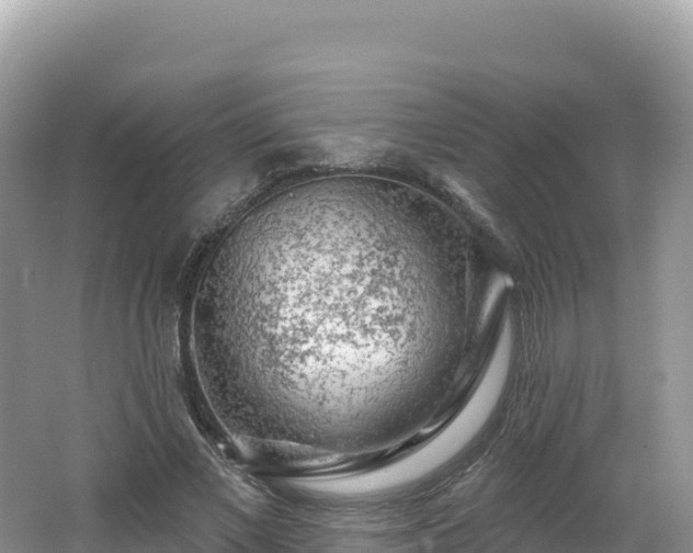 X0000062140685200512121242