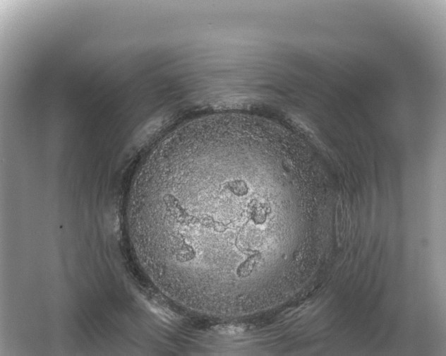 X0000062140687200512121242