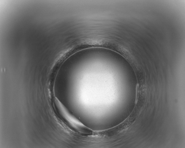 X0000062140688200512121242