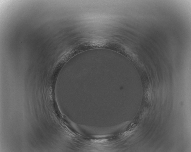 X0000062140689200512121242