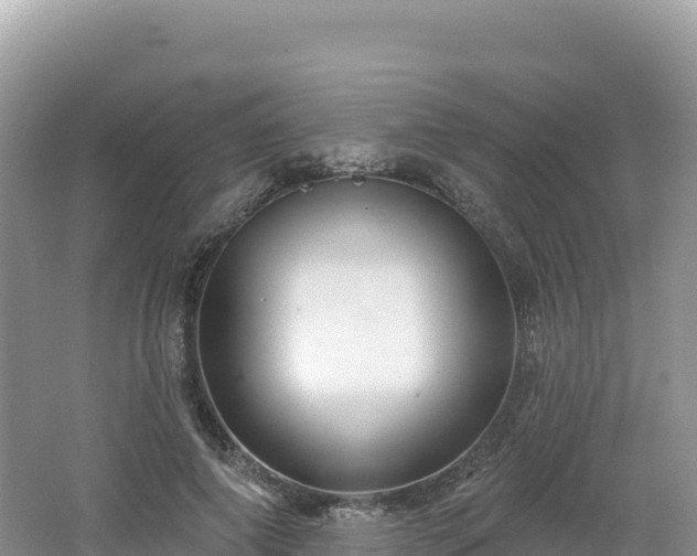 X0000062140690200512121242