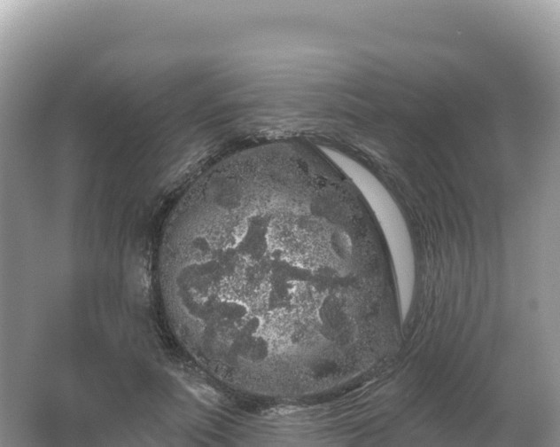 X0000062140691200512121242