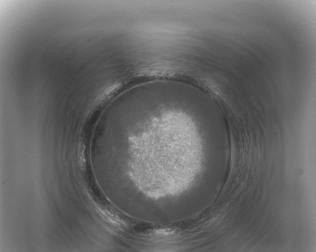 X0000062140692200512121242