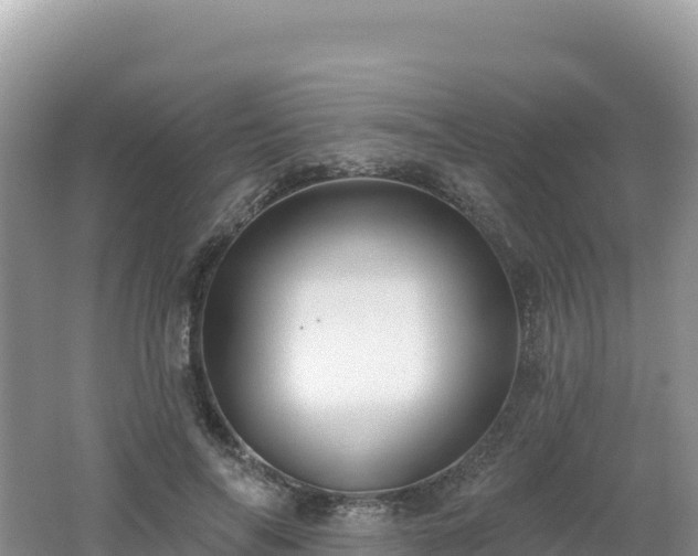 X0000062140694200512121242