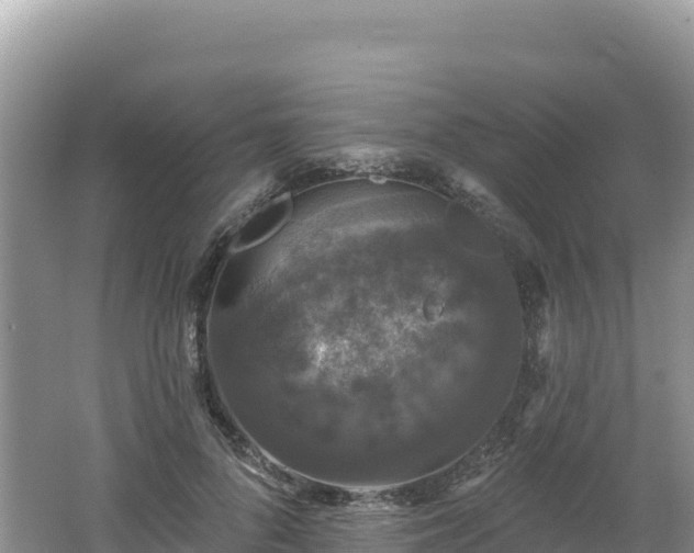 X0000062140696200512121242