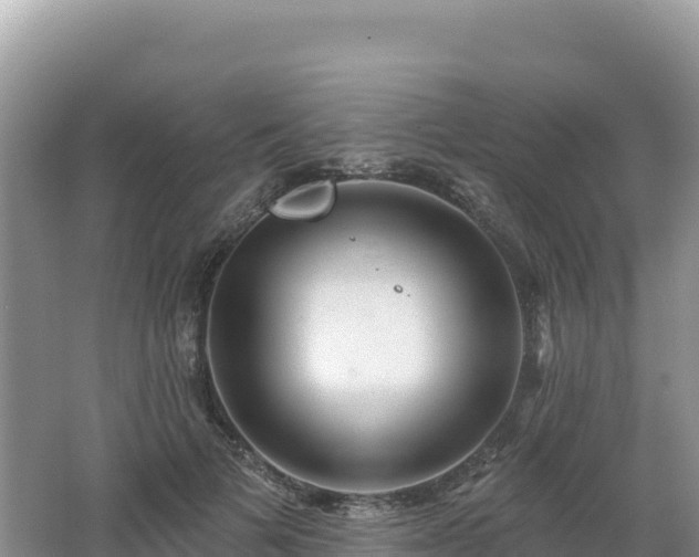 X0000062140697200512121242