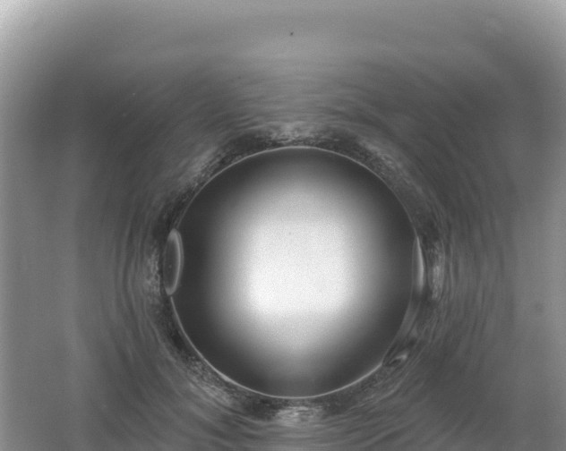 X0000062140700200512121242