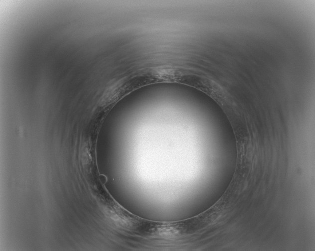 X0000062140702200512121242