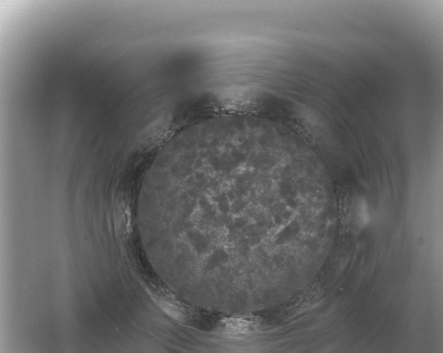 X0000062140703200512121242