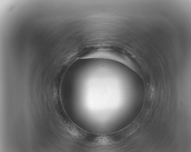 X0000062140704200512121242