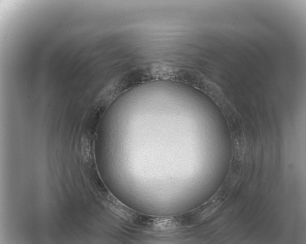 X0000062140705200512121242