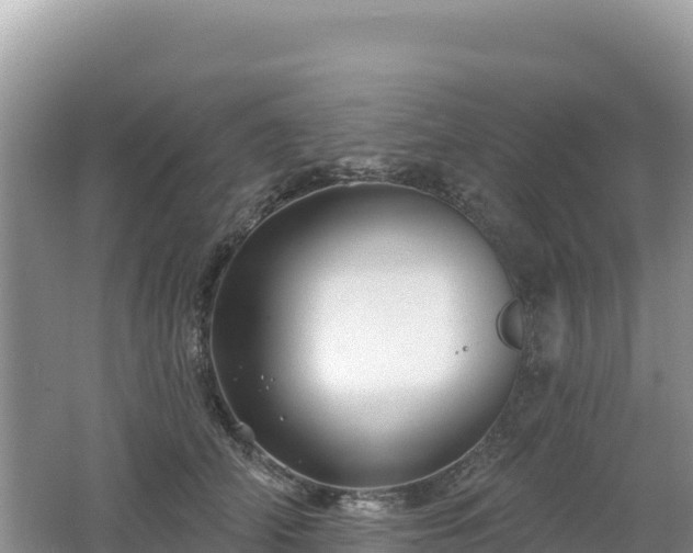 X0000062140706200512121242