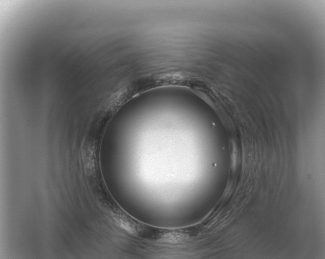 X0000062140708200512121242