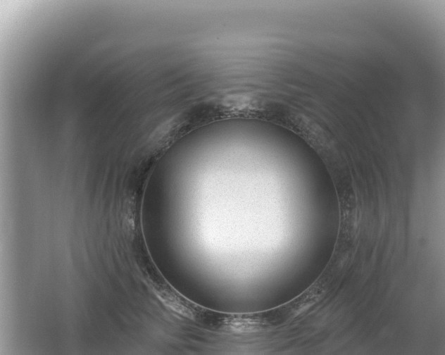 X0000062140710200512121241