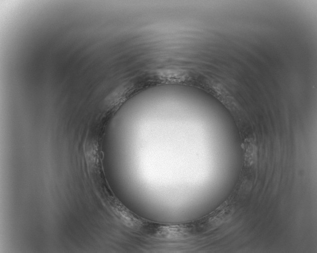 X0000062140713200512121241