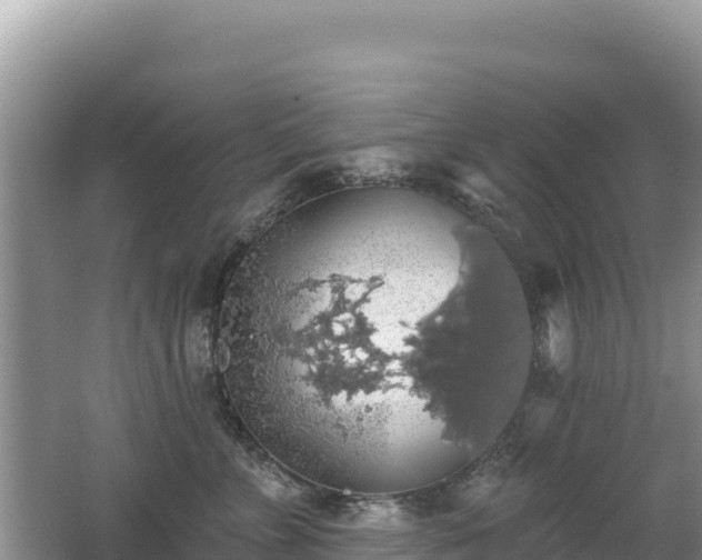 X0000062140715200512121241