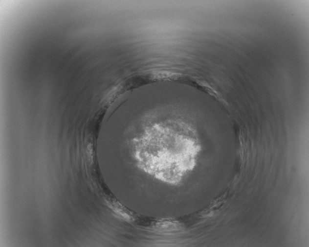 X0000062140716200512121241