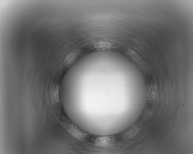 X0000062140717200512121241